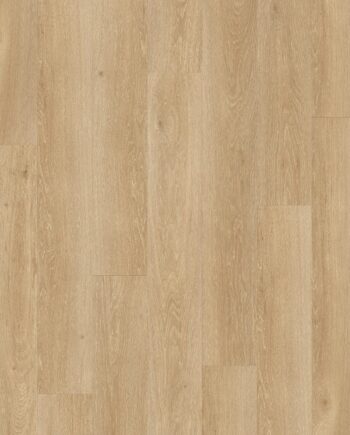 LVT Vinüülparkett QUICK STEP, Pulse Glue Plus, Sea breeze oak natural, tamm, faasitud