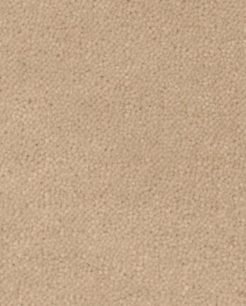Villavaip Sheba 1764 marone