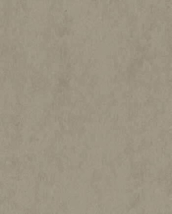 Linoleum Gerflor Lino Art Urban 0550 Beton Soft Grey