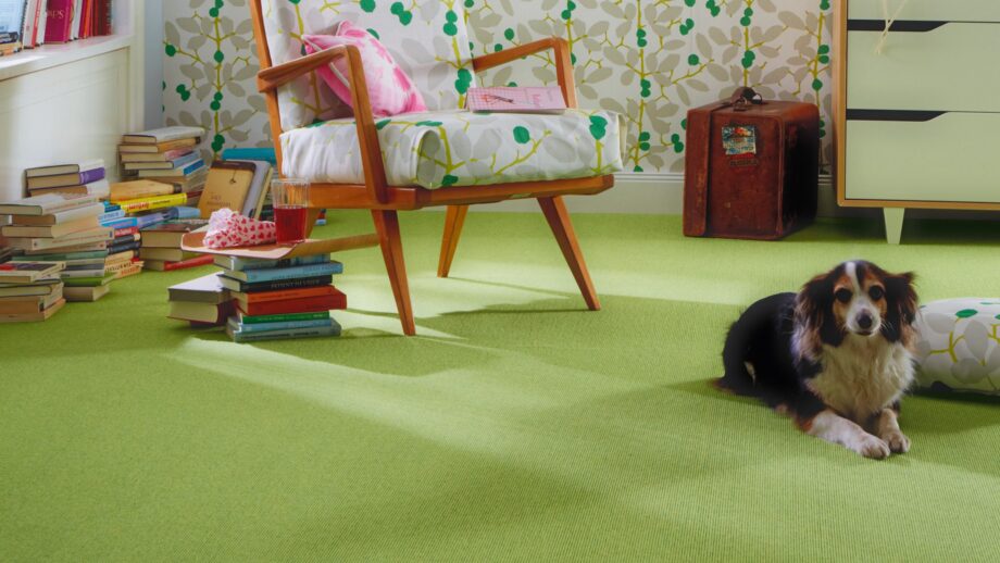 Vaibad Tretford Interland 622 Wasabi – vaade 5
