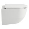 WC pott Laufen PRO, seinale kinnitatav, soft-close vaikselt sulguv prill-laud kaanega