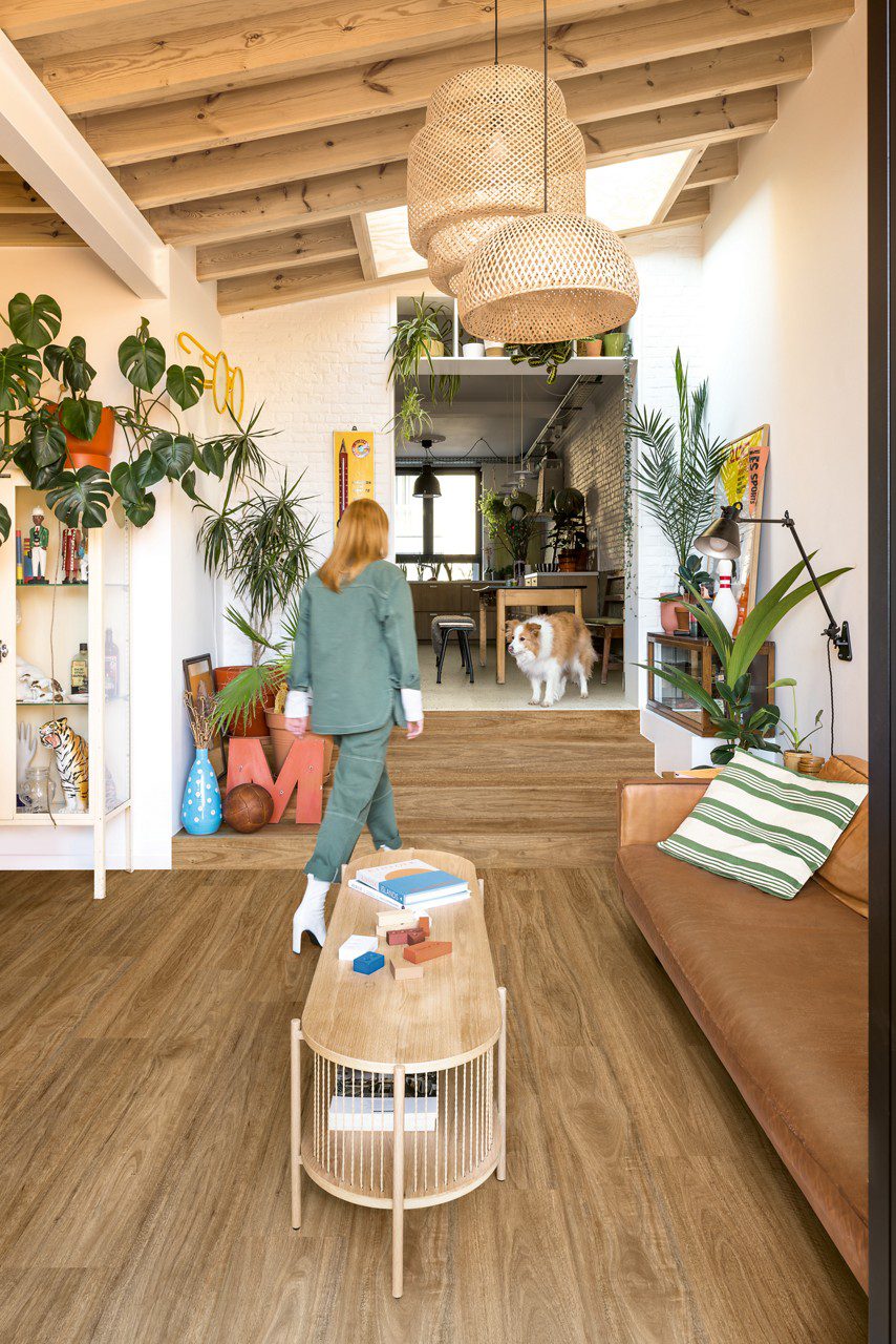 Vinyylilankku Quick Step Bloom Wild Spotted Gum asennettuna olohuoneen lattialle ja matalalle välitasanteen portaalle, nainen kävelee portaita ylös ja koira odottaa ylhäällä.