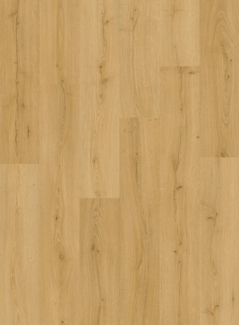 Vinyylilattia Quick Step Bloom Brushed Oak Honey, lämmin hunajainen tammen sävy ja harjattu tammikuviointi.