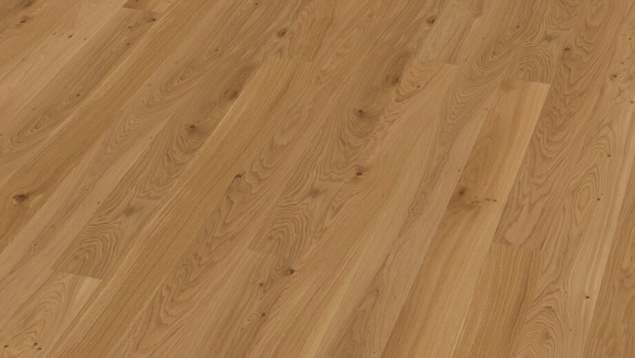 Bauwerk Budget Cut tamm 35 – vaade 2 Bauwerk Budget Cut tamm 35 – vaade 2