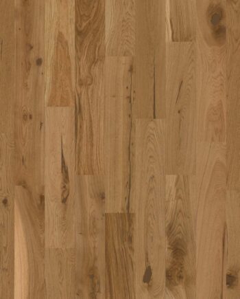Bauwerk Casapark Budget Cut tamm 56 õlivaha