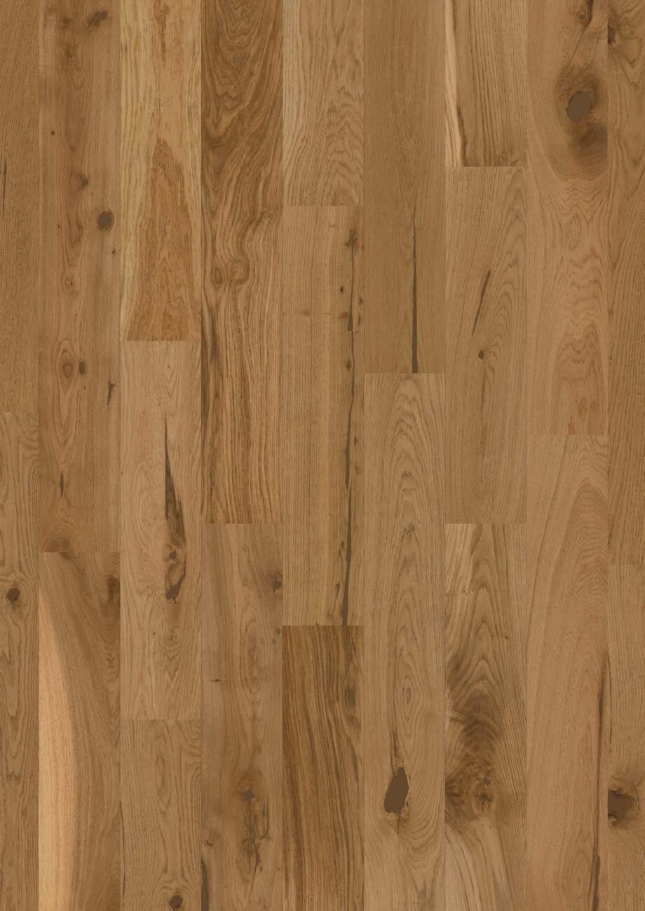 Parkett Bauwerk Casapark Budget Cut tamm 56 harjatud ja õlivahatatud pinnaga on naturaalse tamme tooniga ja tugevalt rustikaalse oksliku sorteeringuga.