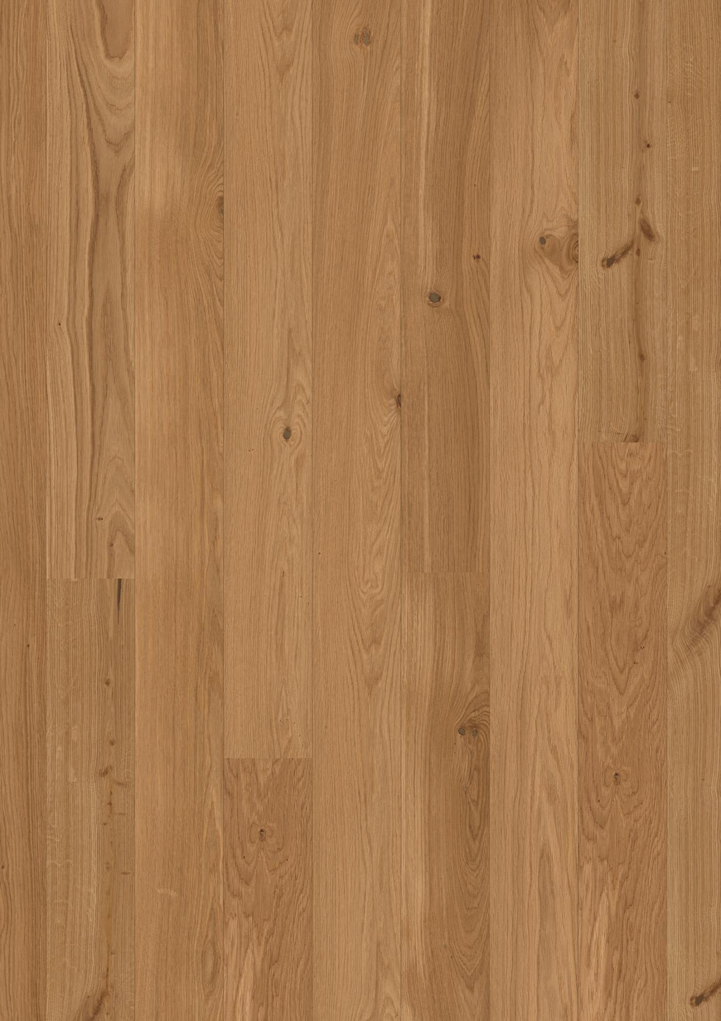 Puitparkett Bauwerk Casapark Budget Cut tamm 35 faasitud, harjatud, õlivahatatud 138mm naturaalse tamme tooni ja kergelt rustikaalse sorteeringuga.