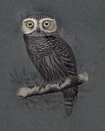 Mustriline suur keraamiline dekoorpaneel ABK Moooi Special Edition Hypnotic Owl, 120x280 cm, 6 mm, matt (naturale)