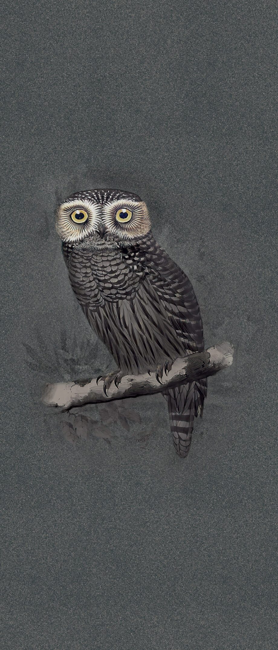 abk-moooi-special-edition-hypnotic-owl-0021313-1 Mustriline suur keraamiline dekoorpaneel ABK Moooi Special Edition Hypnotic Owl, 120x280 cm, 6 mm, matt (naturale)
