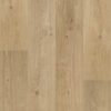 Liimitav vinüülparkett Floorify Gluedown Long Plank Cider FG018