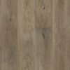 Liimitav vinüülparkett Floorify Gluedown Long Plank Cohiba FG021