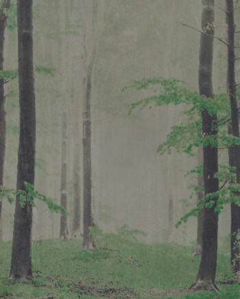 Mustriline suur keraamiline dekoorplaat ABK Wide&Style Woods B, 160x320 cm, 6 mm, matt