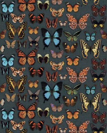 Mustriline suur keraamiline dekoorplaat ABK Wide&Style Papillon, 160x320 cm, 6 mm, matt