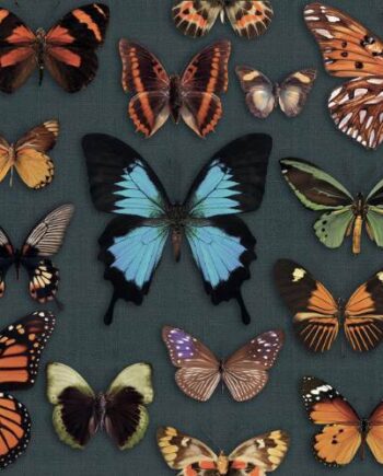 Mustriline keraamiline dekoorplaat ABK Wide&Style Papillon, 60x120 cm, 8,5 mm, matt