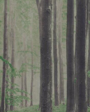 Mustriline suur keraamiline dekoorplaat ABK Wide&Style Woods A, 120x280 cm, 6 mm, matt