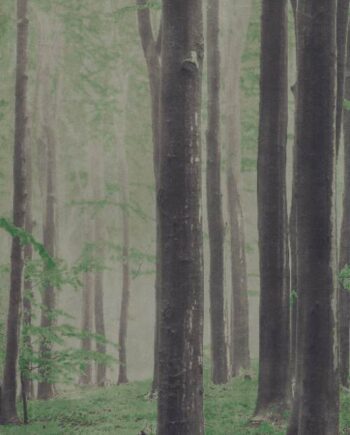 Mustriline suur keraamiline dekoorplaat ABK Wide&Style Woods A, 160x320 cm, 6 mm, matt