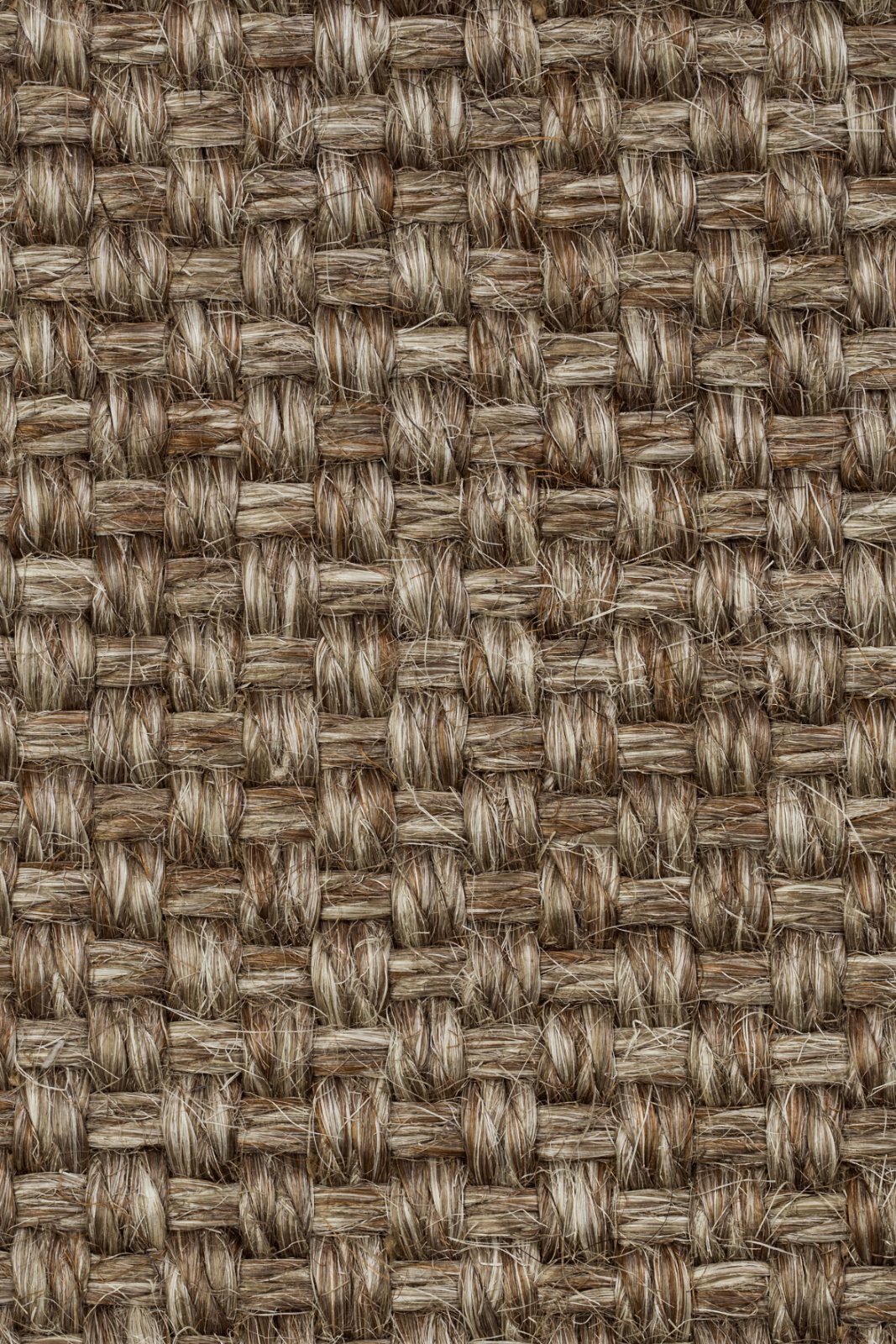 Sisalvaipkate Tasibel Colora 2852/20