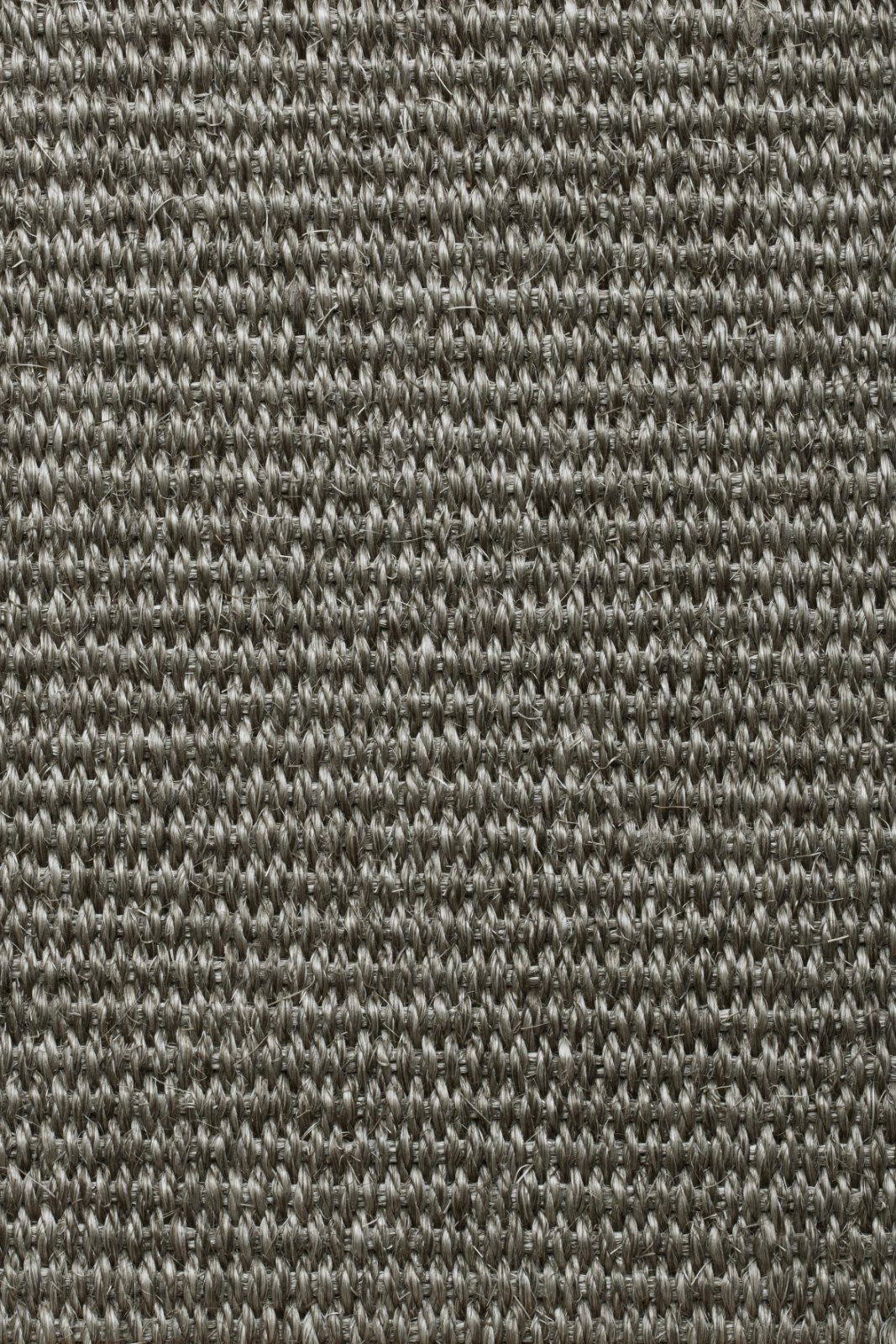 Sisalvaipkate Tasibel Urban Plus 2214/21