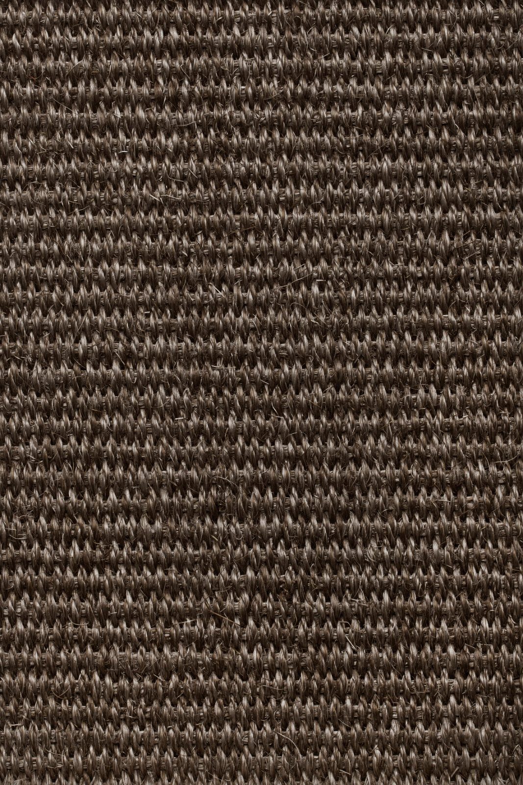 Sisalvaipkate Tasibel Urban Plus 2216/21