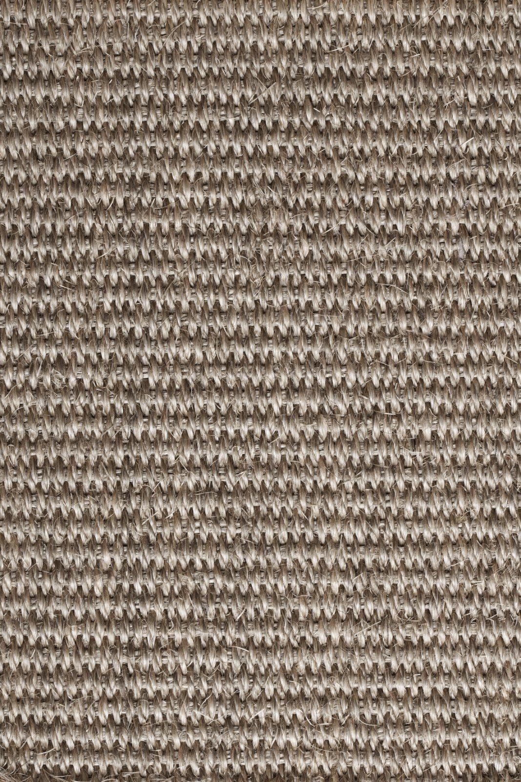 Sisalvaipkate Tasibel Urban Plus 2218/21