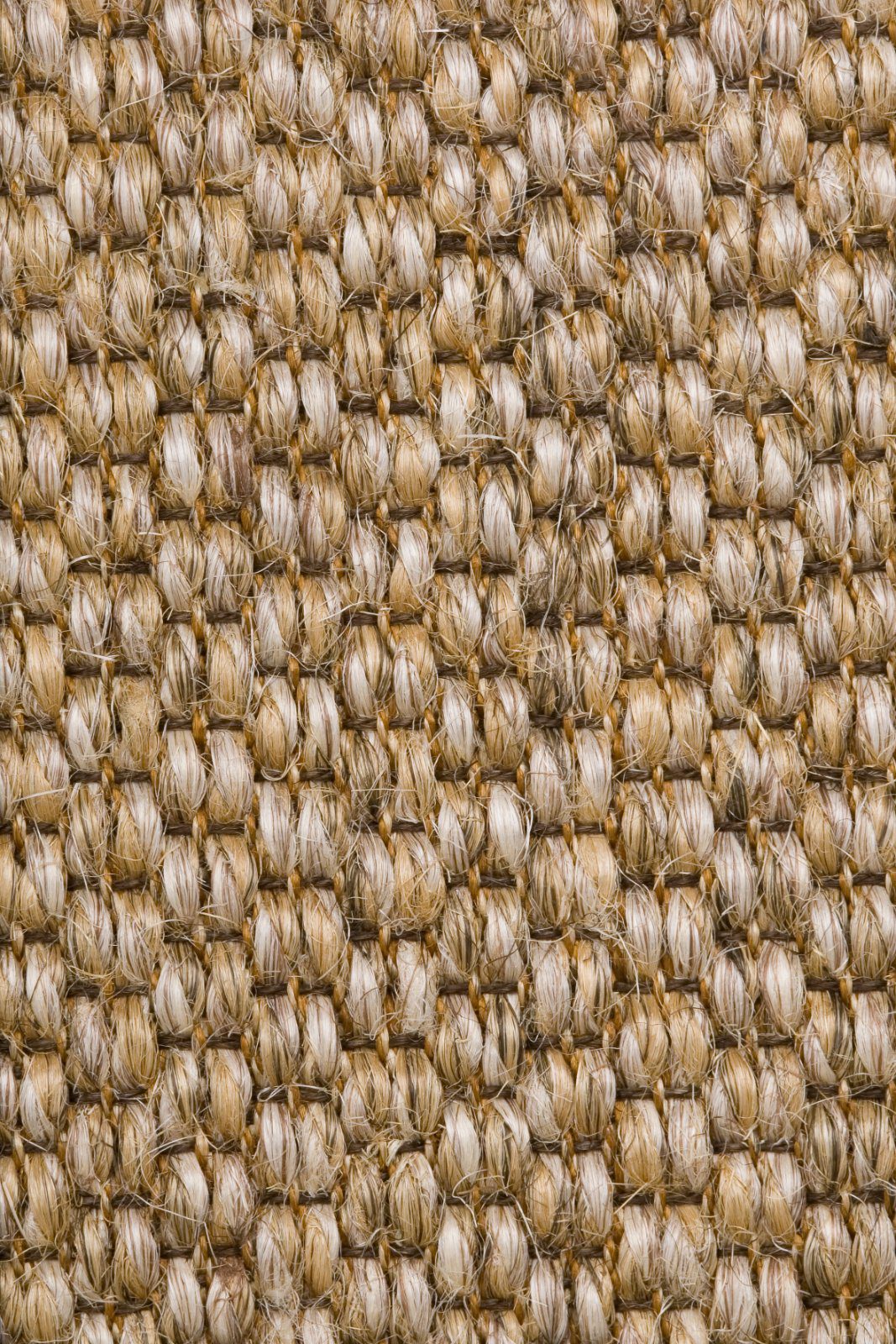 Sisalvaipkate Tasibel Zambesi 2060/19/20