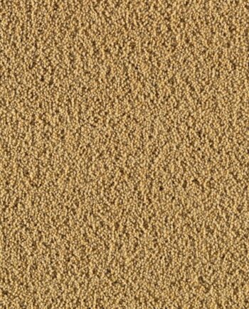 Villane vaipkate Creatuft Ceres 3090 Gold