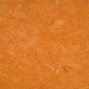 1702_2084_121-073_Spicy_Orange