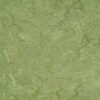 1708_2090_121-100_Frog_Green 1708_2090_121-100_Frog_Green