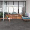 4407_9642_lvt-amcp40035
