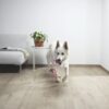 4675_9845_LVT-Vinuulparkett-QUICKSTEP-Click-hall-tamm-faasitud-PUCP40105-3