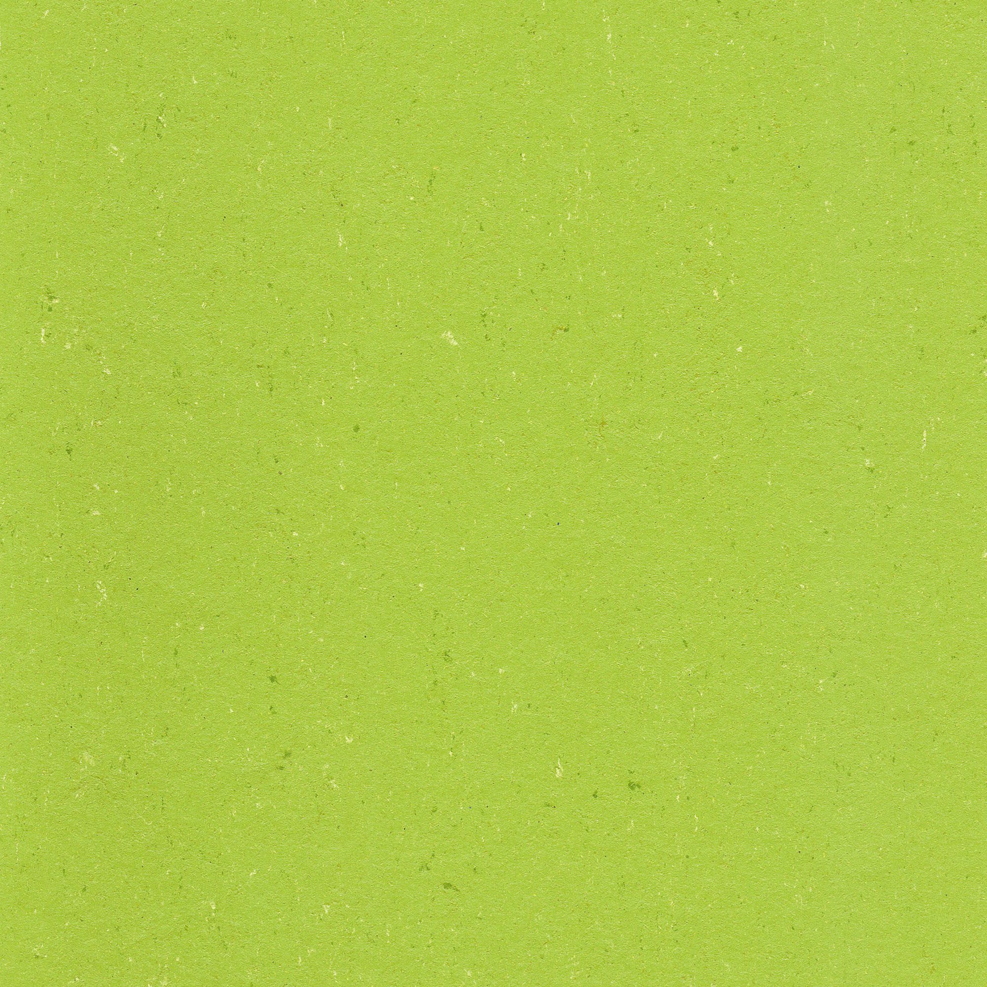 Linoleum Gerflor Colorette 0132 Spicy Green