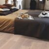 Parkett Tarkett, Shade, Tamm Satin White Plank, 1-lip, 2 külge mikrofaas, Proteco Hardwax Oil õlivaha – vaade 6