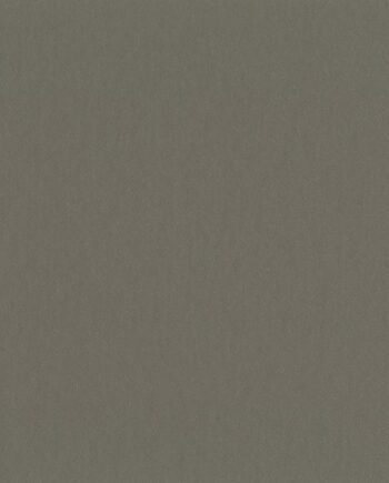 Linoleum Gerflor Uni Walton 0058 Clay Grey