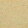 Linoleum Acoustic Plus LPX 2121-040 Light Sahara – vaade 2