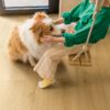 Vinüülparkett Quick-Step Bloom Brushed Oak Honey – vaade 15