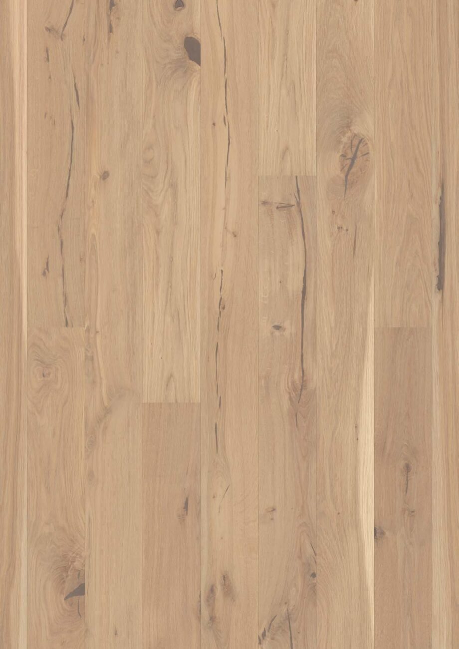 parkett-bauwerk-casapark-budget-cut-tamm-56-crema-harjatud-bprotekt-ekstra-matt-lakk Parkett Bauwerk Casapark Budget Cut tamm 56 Crema harjatud Bprotect ekstra matt lakiga viimistletud heledat tooni ja tugevalt rustikaalse sorteeringuga. Faasid parketilaua kahel pikemal küljel.