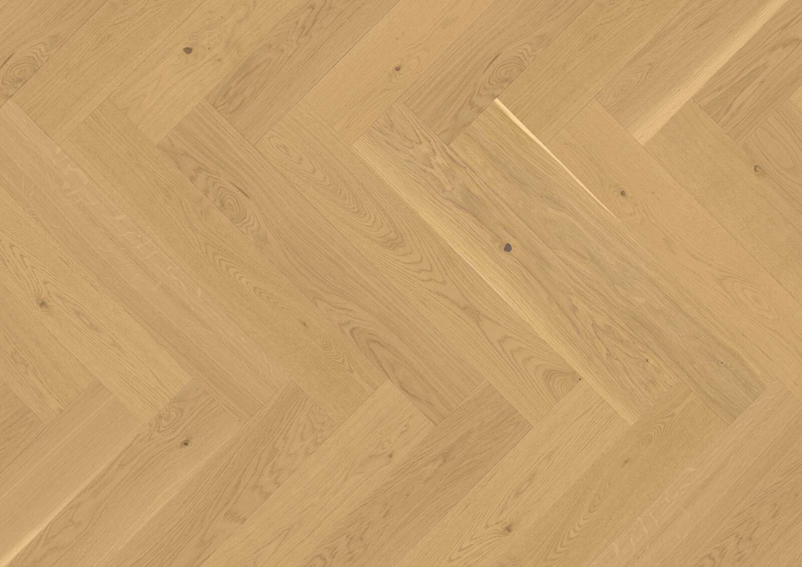 Kalasaba parkett Bauwerk Vectorpark tamm Avorio 24 õlitatud harjatud – laua vaade