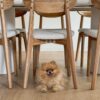 Liimitav vinüülparkett Floorify Gluedown Long Plank Paris Tan FG001 – vaade 2 Liimitav vinüülparkett Floorify Gluedown Long Plank Paris Tan FG001 – vaade 2