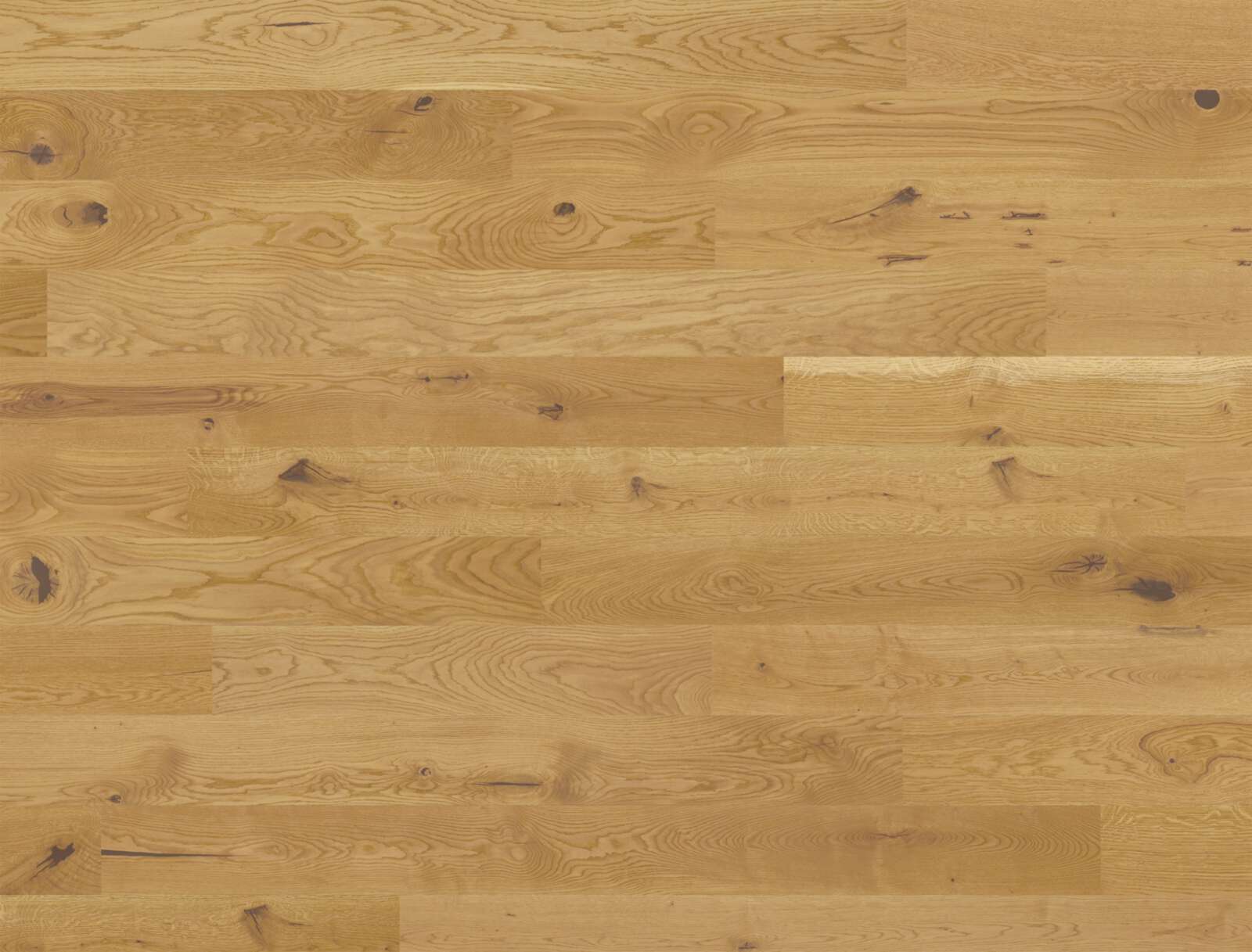 Parkett Bauwerk Studiopark tamm natuur 46 õlitatud sügavharjatud