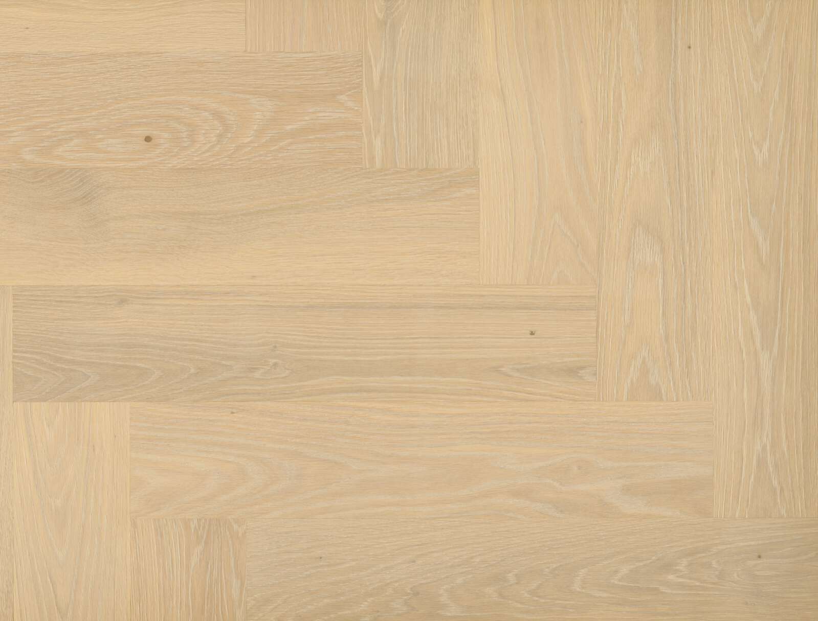 Tamme parkett Bauwerk Formpark Quadrato Farina 14 B-Protect harjatud – laua vaade