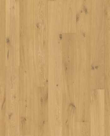 Tammeparkett Quick-Step Amato Pure Oak eriti matt lakk, veekindel 145mm
