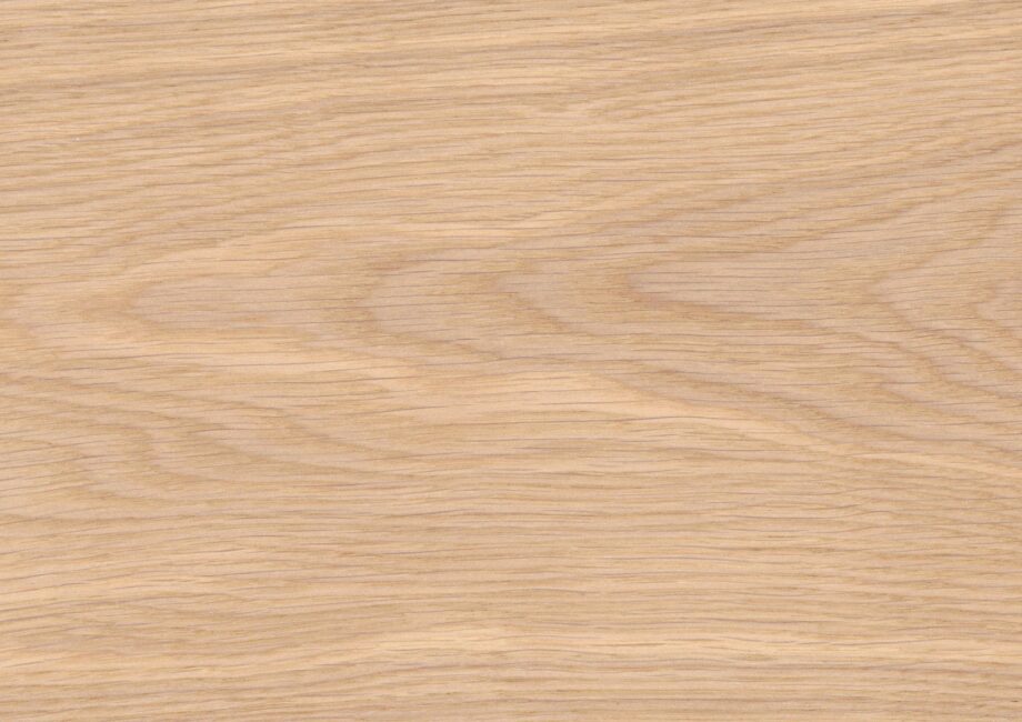 Tammeparkett Thede & Witte Euro XL, natuur, harjatud, valgeõlitatud, 1-lip, 2230 x 254 x 14 mm – vaade 3 Tammeparkett Thede & Witte Euro XL, natuur, harjatud, valgeõlitatud, 1-lip, 2230 x 254 x 14 mm – vaade 3