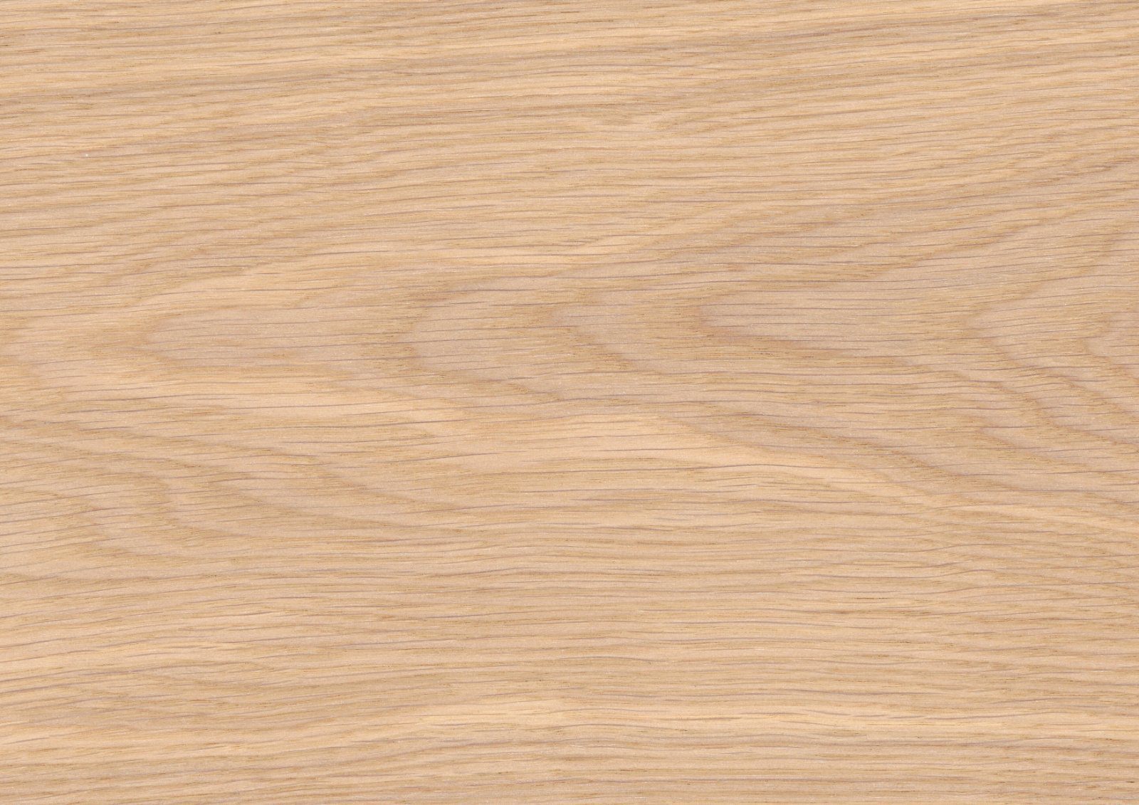Tammeparkett Thede & Witte Euro XL, natuur, harjatud, valgeõlitatud, 1-lip, 2230 x 254 x 14 mm – vaade 3