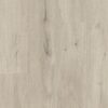 Tugevdatud südamikuga LVT vinüülparkett Floorify XL Plank Clooney F099